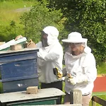 Mitterer 3* Weissensee