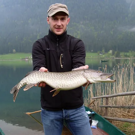 Mitterer بيت ضيافة