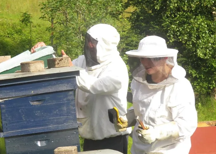 Mitterer 3* Weissensee